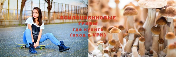 тгк Балабаново
