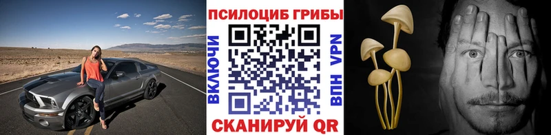 Галлюциногенные грибы Psilocybine cubensis  продажа наркотиков  Красный Сулин 